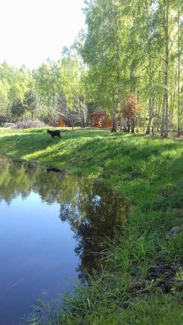 Фото номера Дом с 1 спальней Дома для отпуска HARFA г. Chrztowo 21